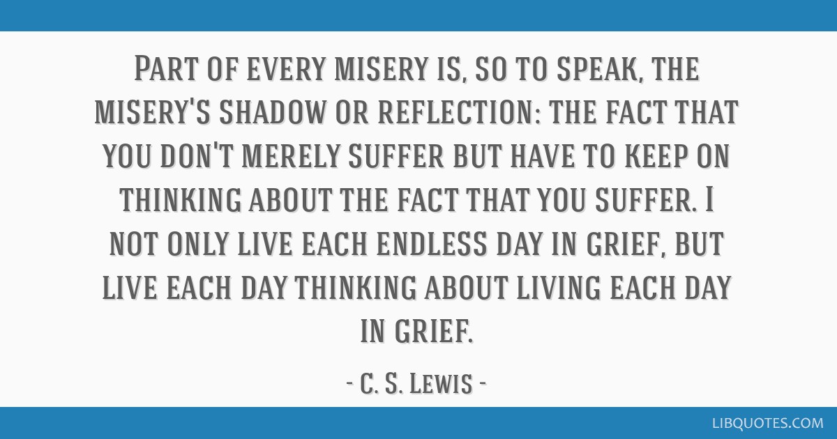 Part of every misery is, so to speak, the misery's shadow or reflection: the fact that you don't merely suffer but have to keep on thinking about the ...