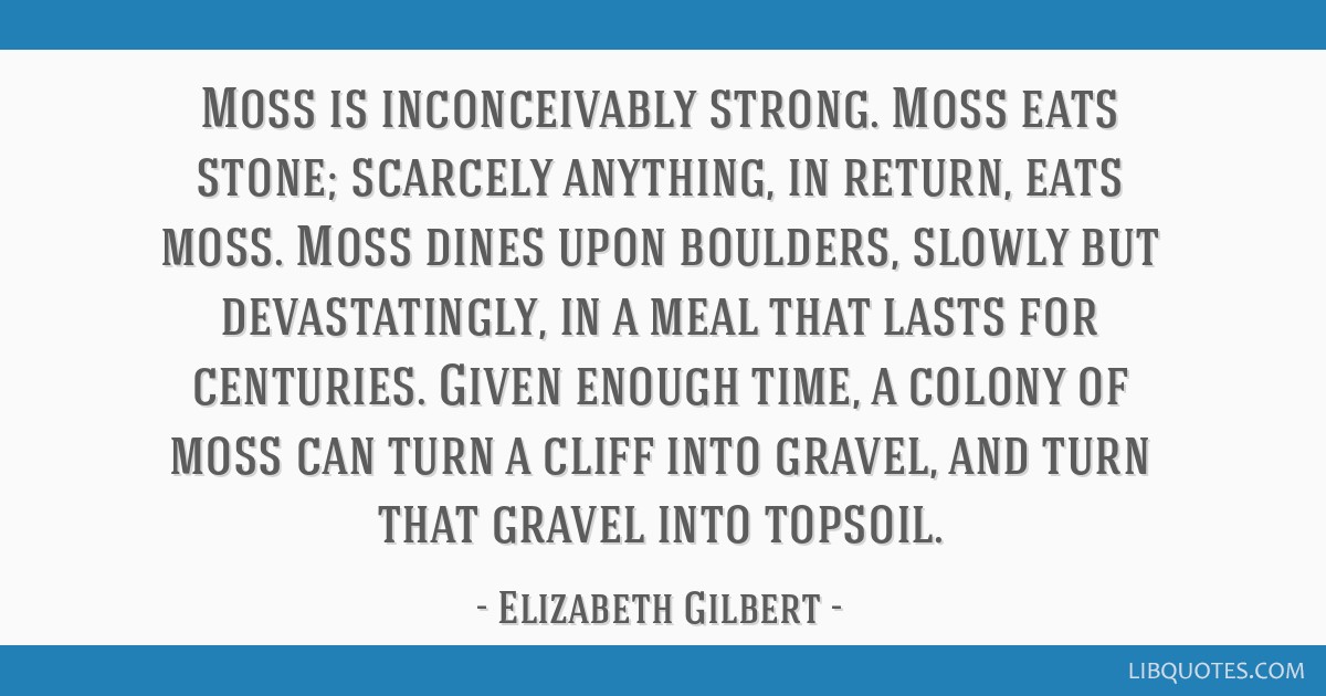 elizabeth stone quotes