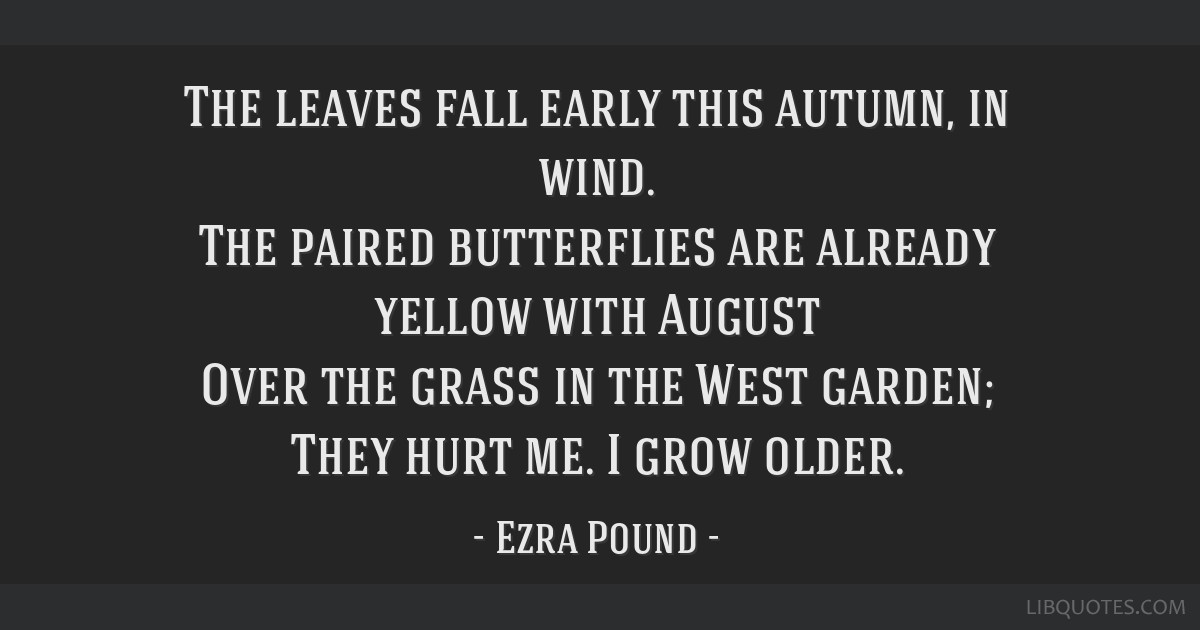 The Leaves Fall Early This Autumn In Wind The Paired Butterflies