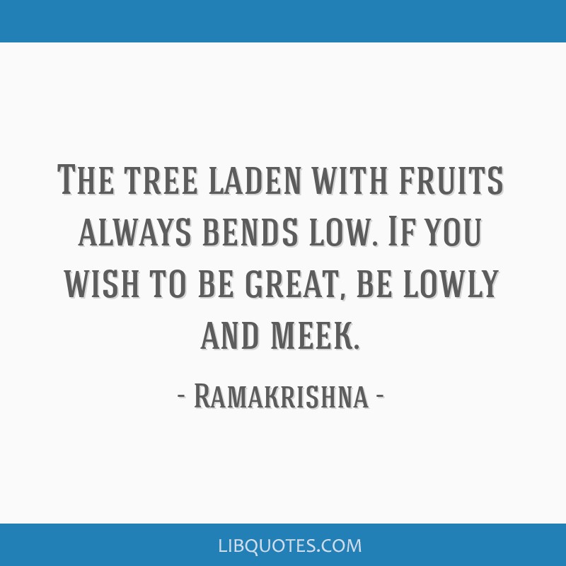 Pokok yang sarat dengan buah-buahan sentiasa membongkok rendah