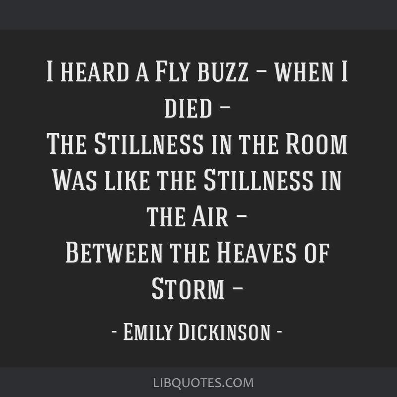 emily dickinson poems i heard a fly buzz