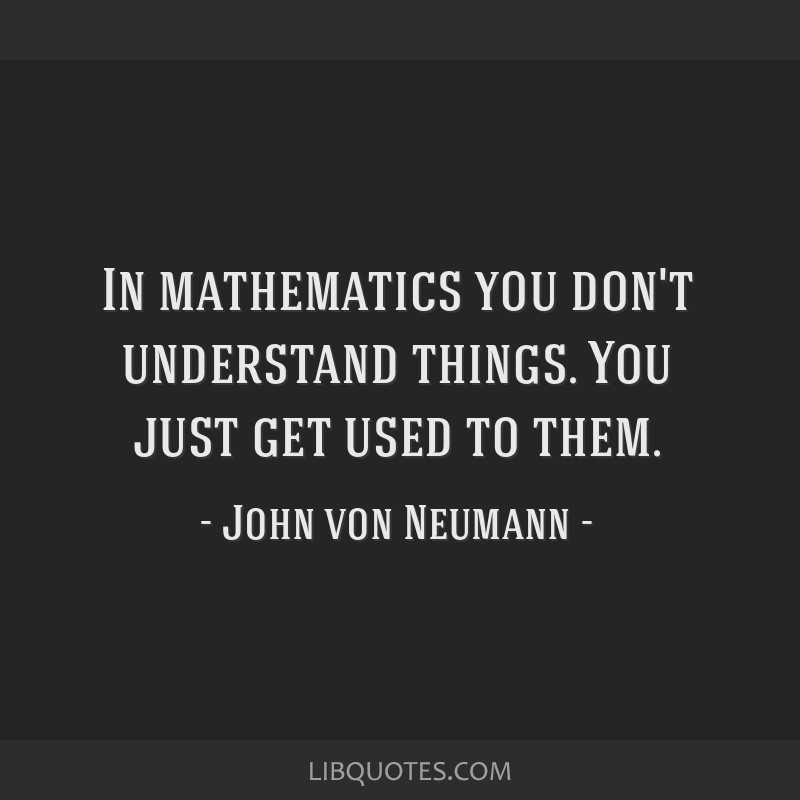 In mathematics you don't understand things. You just get...