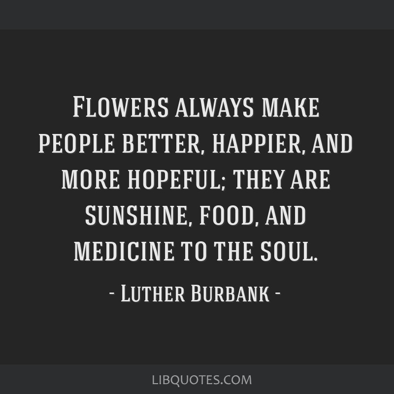 60 Flower Quotes Blooming With Happiness