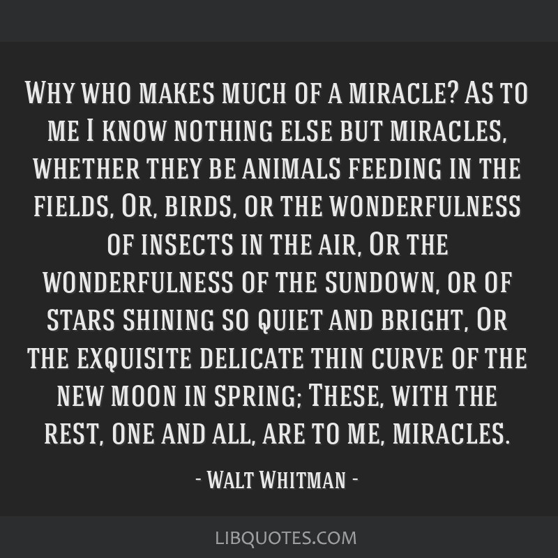 Walt Whitman quote: Why who makes much of a miracle? As to...